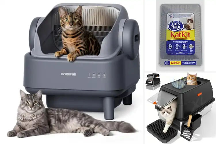 Detailed view of Best All-in-One Litter Boxes: 10 Easy Clean Picks