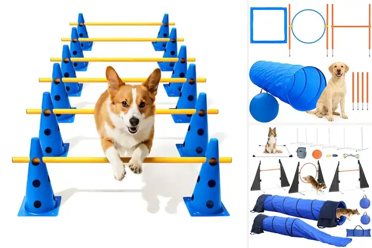 Detailed view of Best Backyard Dog Agility Kits