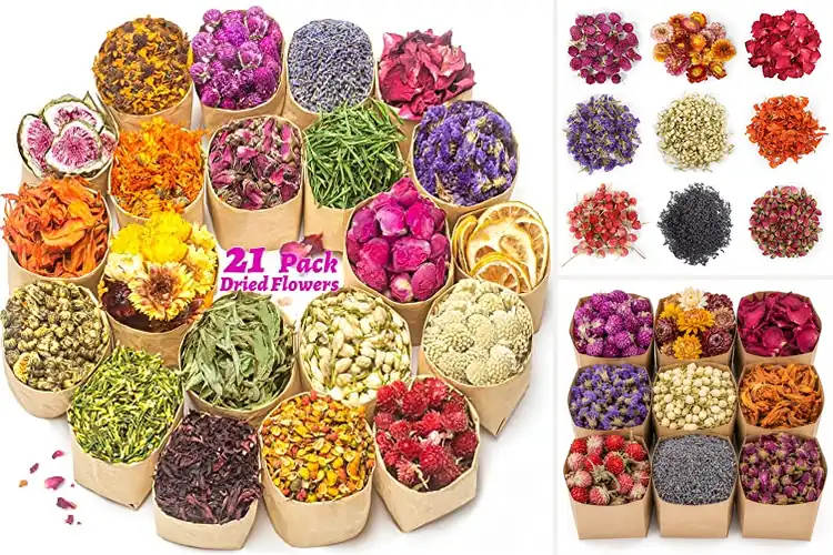 Detailed view of Best Botanical Flowers For Soap Making