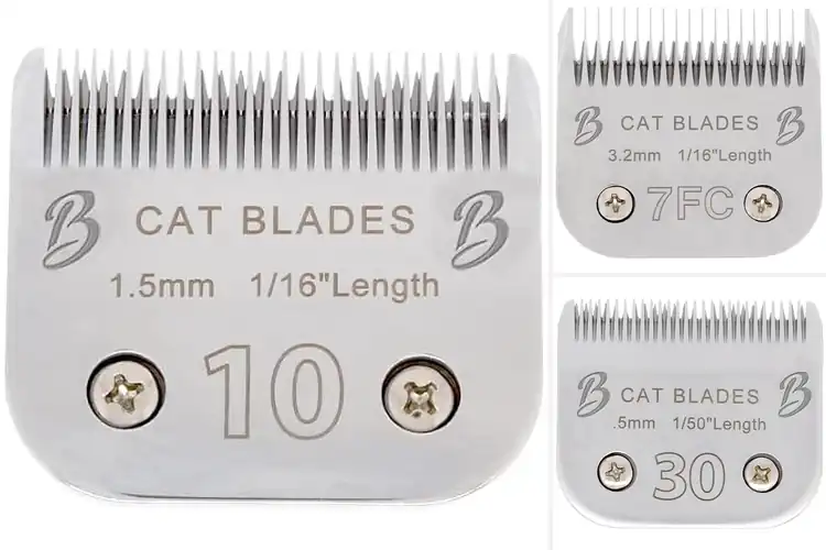 Detailed view of Best Cat Grooming Blades