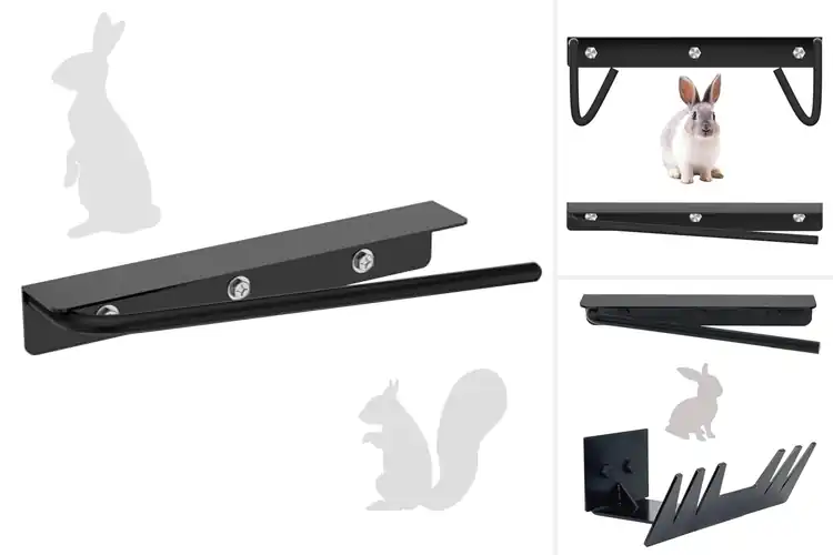 Detailed view of Best Cervical Dislocation Tools