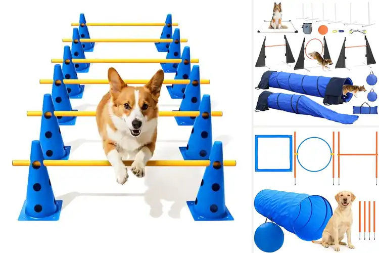 Detailed view of Best Dog Agility Courses
