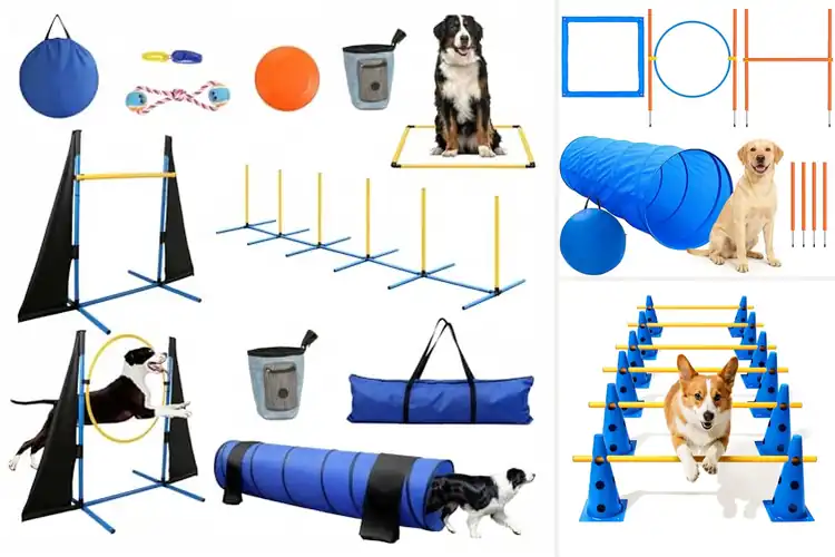 Detailed view of Best Dog Agility Training Sets