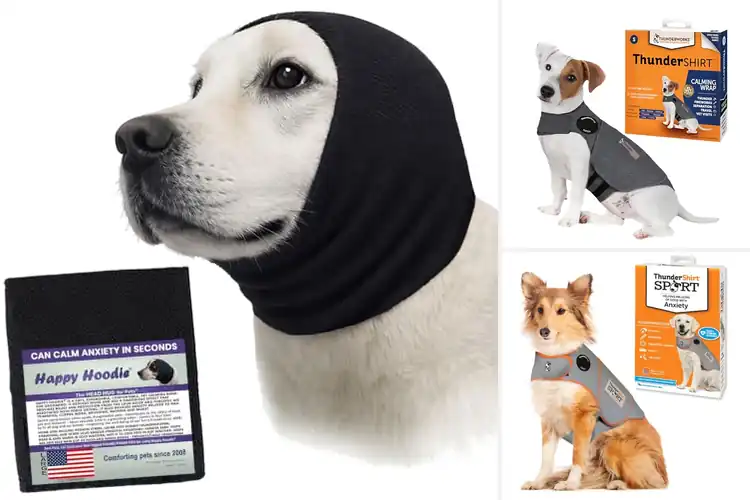 Detailed view of Best Dog Anxiety Wraps: Calm Your Pup with These Top Picks