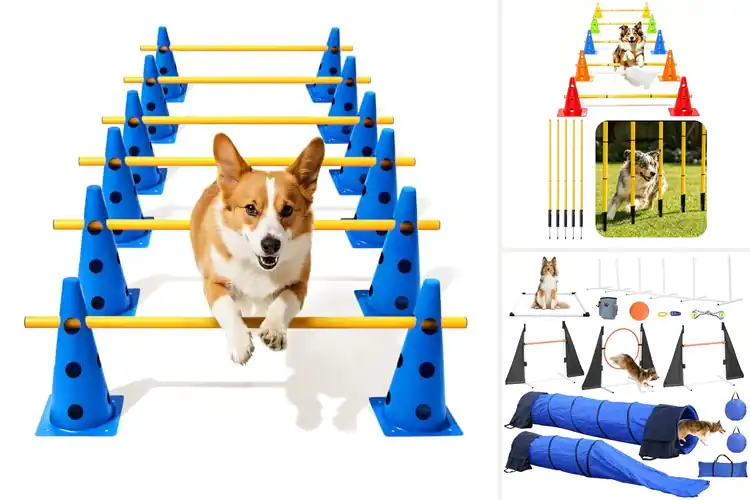 Detailed view of Best Dog Obstacle Courses: Fun-Filled Guide for Active Pets
