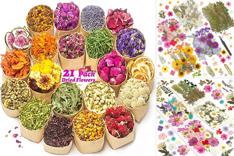 Detailed view of Best Dried Flowers For Candle Making Crafts