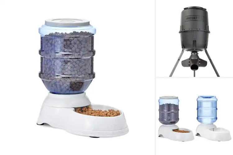 Detailed view of Best Gravity Feeders for Happy Pets & Easy Feeding