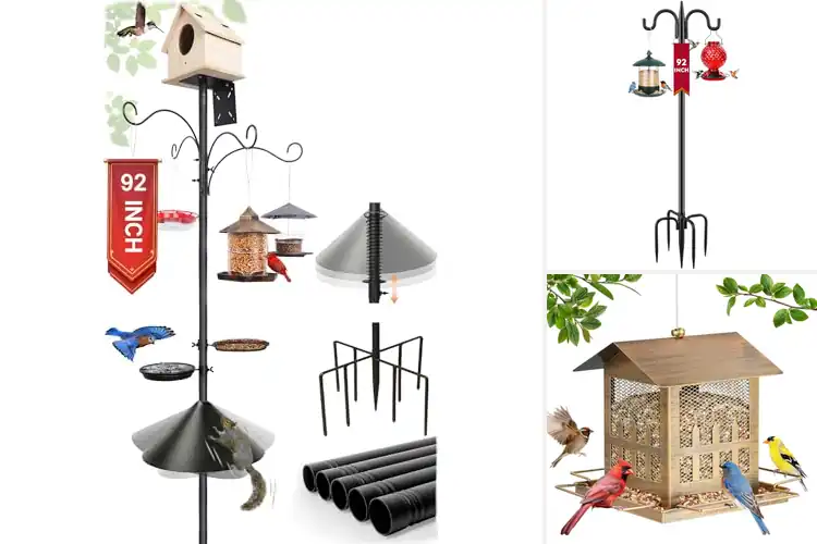 Detailed view of Best Heavy Duty Feeders