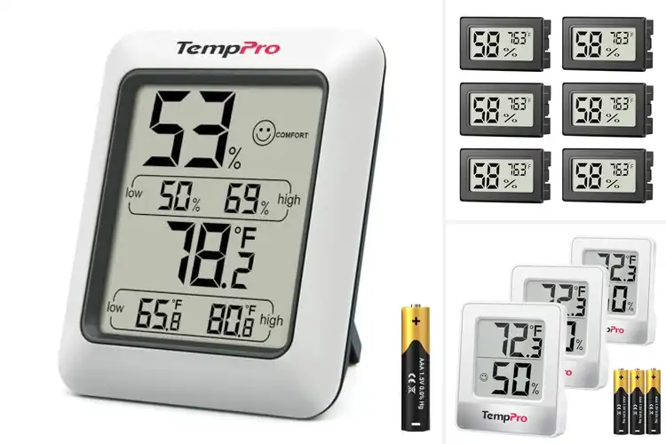 Detailed view of Best Humidity Monitors