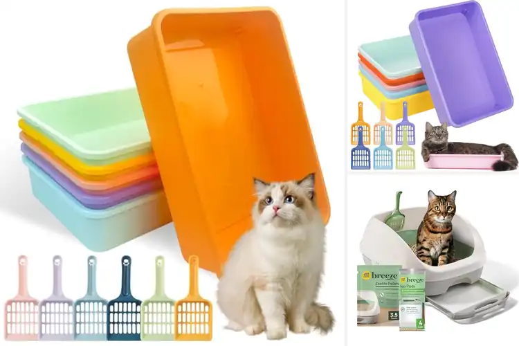 Detailed view of Best Litter Box Sets: 10 Top Picks for a Clean, Happy Home