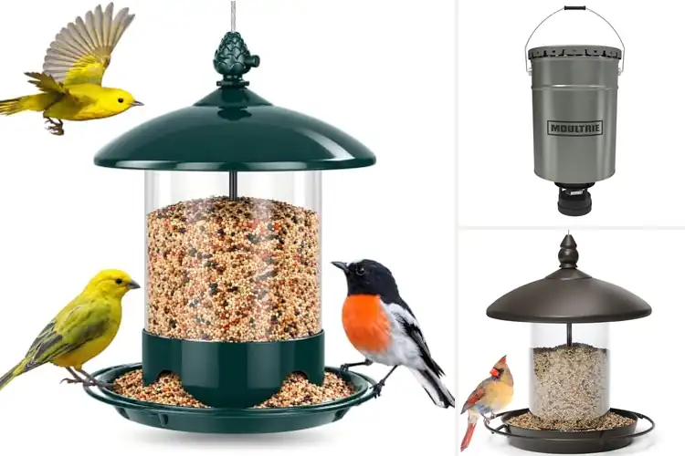 Detailed view of Best Metal Feeders