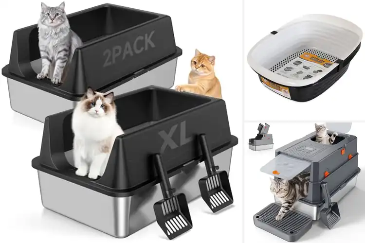 Detailed view of Best Multi-Cat Litter Boxes