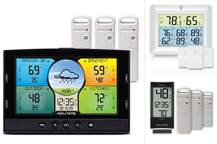 Detailed view of Best Multi Zone Thermometers
