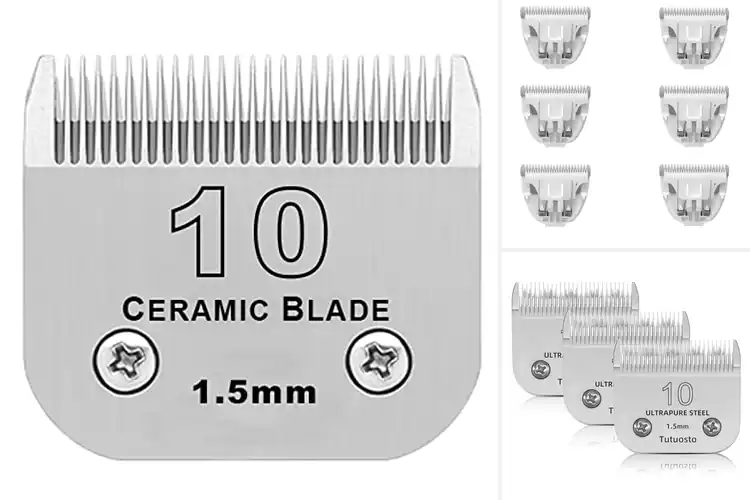 Detailed view of Best Pet Clipping Blades
