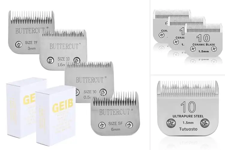 Detailed view of Best Professional Grooming Blades