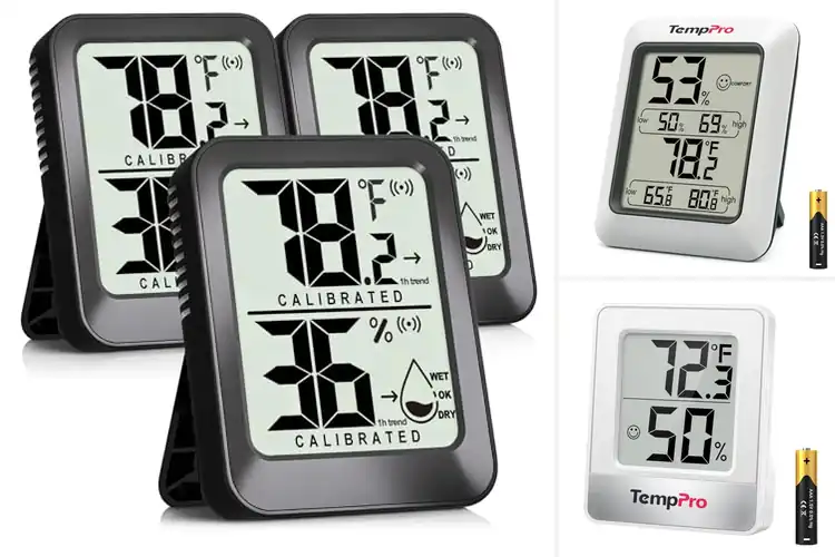 Detailed view of Best Room Thermometers