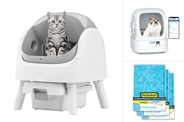 Detailed view of Best Safe Litter Boxes: Top 10 Cat-Friendly Picks