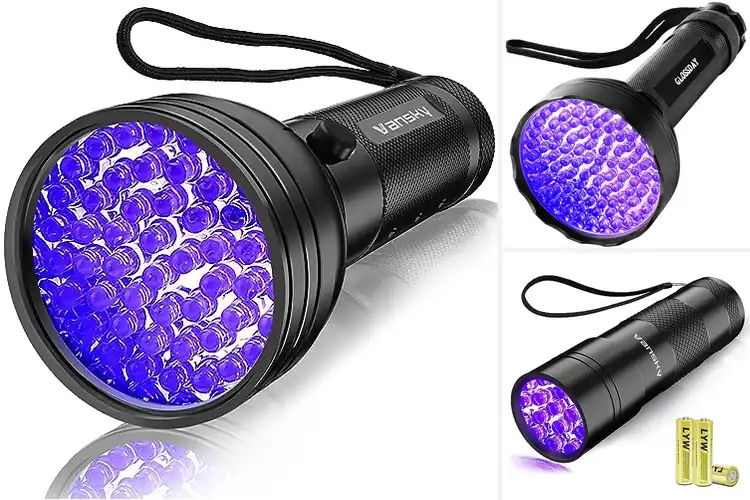 Detailed view of Best Scorpion Finders: UV Lights for Outdoor Safety