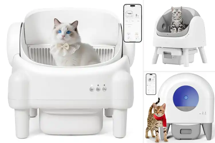 Detailed view of Best Smart Litter Boxes