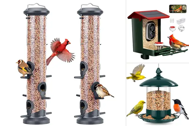 Detailed view of Best Weatherproof Feeders