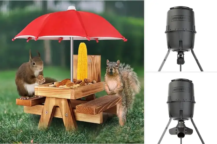 Detailed view of Best Wildlife Feeders